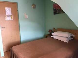 Хостелы Hostel Voineasa Войняса Двухместный номер с 1 кроватью и видом на горы — Мансарда-4
